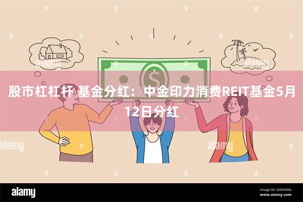 股市杠杠杆 基金分红：中金印力消费REIT基金5月12日分红