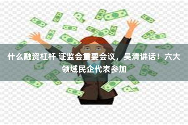 什么融资杠杆 证监会重要会议，吴清讲话！六大领域民企代表参加