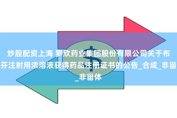 炒股配资上海 罗欣药业集团股份有限公司关于布洛芬注射用浓溶液获得药品注册证书的公告_合成_非甾体