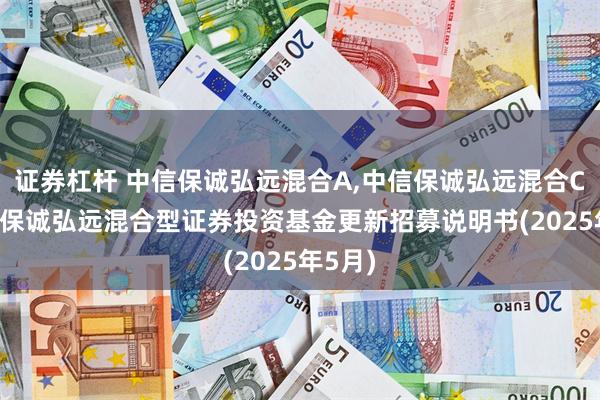 证券杠杆 中信保诚弘远混合A,中信保诚弘远混合C: 中信保诚弘远混合型证券投资基金更新招募说明书(2025年5月)