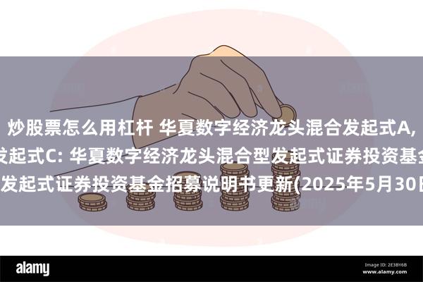 炒股票怎么用杠杆 华夏数字经济龙头混合发起式A,华夏数字经济龙头混合发起式C: 华夏数字经济龙头混合型发起式证券投资基金招募说明书更新(2025年5月30日公告)