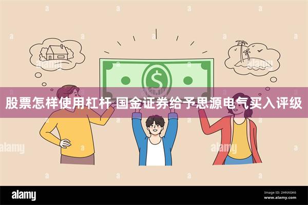 股票怎样使用杠杆 国金证券给予思源电气买入评级