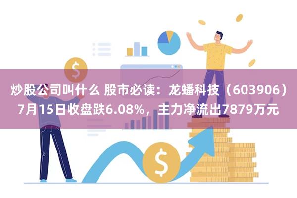 炒股公司叫什么 股市必读：龙蟠科技（603906）7月15日收盘跌6.08%，主力净流出7879万元