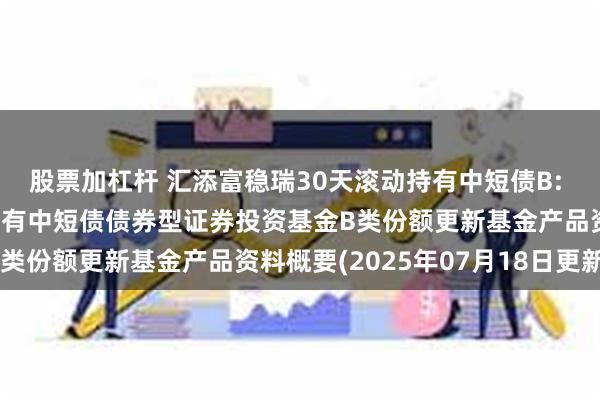股票加杠杆 汇添富稳瑞30天滚动持有中短债B: 汇添富稳瑞30天滚动持有中短债债券型证券投资基金B类份额更新基金产品资料概要(2025年07月18日更新)