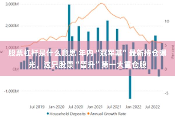 股票杠杆是什么意思 年内“冠军基”最新持仓曝光，这只股票“晋升”第一大重仓股