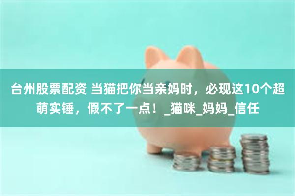 台州股票配资 当猫把你当亲妈时，必现这10个超萌实锤，假不了一点！_猫咪_妈妈_信任