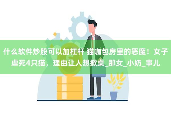 什么软件炒股可以加杠杆 猫咖包房里的恶魔！女子虐死4只猫，理由让人想掀桌_那女_小奶_事儿