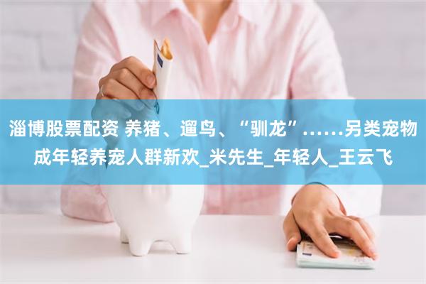 淄博股票配资 养猪、遛鸟、“驯龙”……另类宠物成年轻养宠人群新欢_米先生_年轻人_王云飞