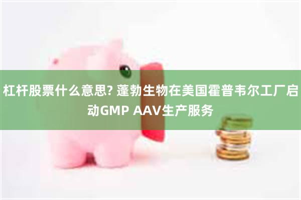 杠杆股票什么意思? 蓬勃生物在美国霍普韦尔工厂启动GMP AAV生产服务