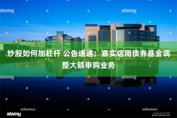 炒股如何加杠杆 公告速递：嘉实信用债券基金调整大额申购业务